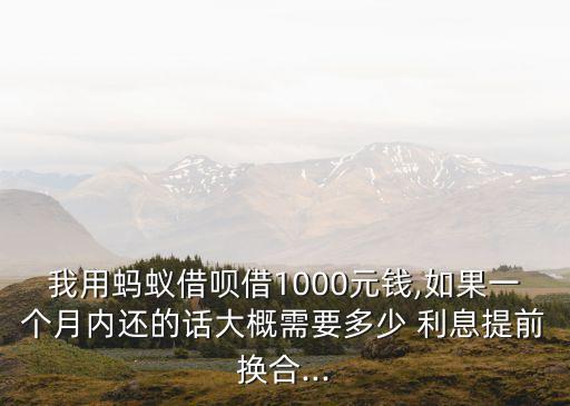 借唄一千一年利息多少錢(qián),借唄借一個(gè)月要利息嗎