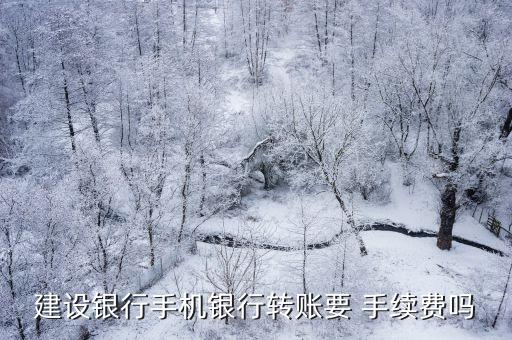 建行收款手續(xù)費多少錢,建行商戶二維碼收款免手續(xù)費