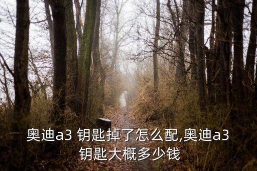 奧迪a3 鑰匙掉了怎么配,奧迪a3 鑰匙大概多少錢