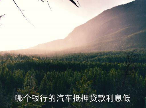 神州買買車利率是多少