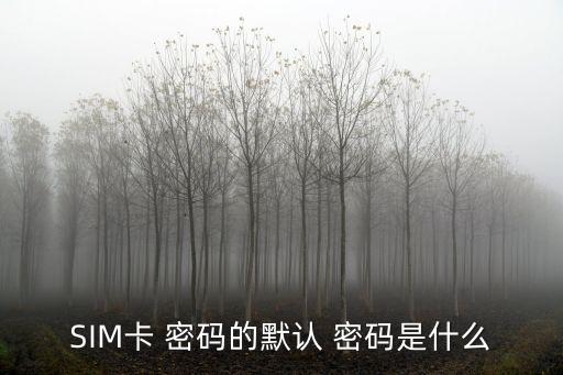 SIM卡 密碼的默認(rèn) 密碼是什么