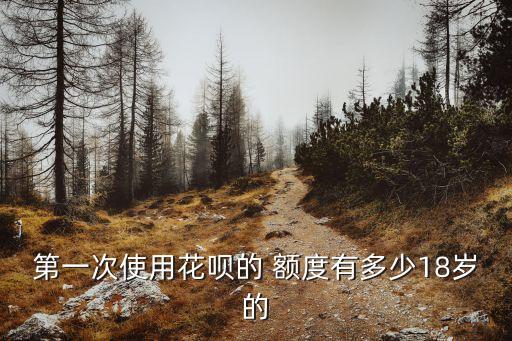 花唄開通有多少額度,支付寶花唄開通有多少額度