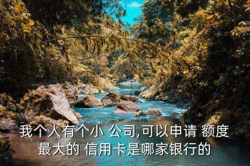 我個(gè)人有個(gè)小 公司,可以申請 額度最大的 信用卡是哪家銀行的