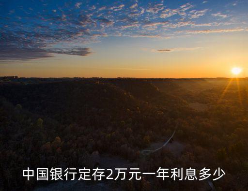 中國銀行定存2萬元一年利息多少