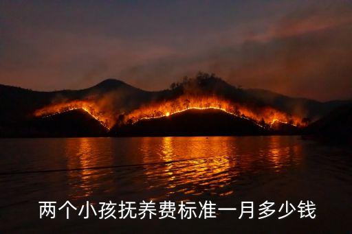 養(yǎng)兩個(gè)孩子花多少錢,在北京養(yǎng)兩個(gè)孩子需要多少錢
