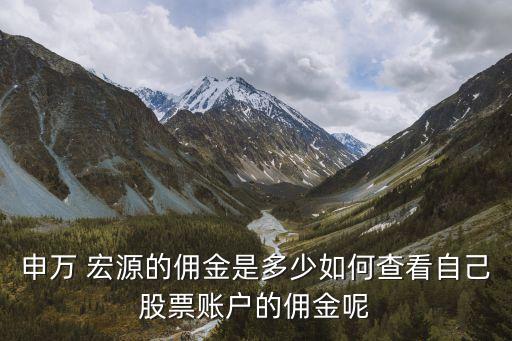 申萬(wàn) 宏源的傭金是多少如何查看自己股票賬戶的傭金呢