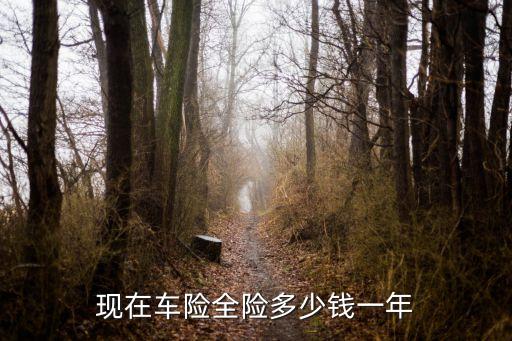 全保車險一般多少錢,車險全保出了事故全責(zé)怎么賠償