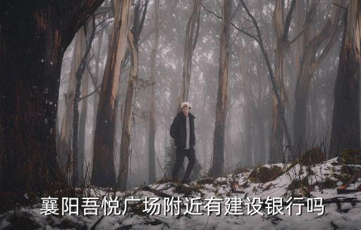  襄陽吾悅廣場附近有建設(shè)銀行嗎