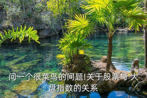 問一個很菜鳥的問題!關于股票與 大盤指數(shù)的關系