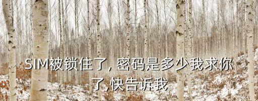 SIM被鎖住了, 密碼是多少我求你了,快告訴我