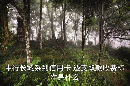 透支卡取現(xiàn)金手續(xù)費(fèi)多少,農(nóng)行透支卡可以取現(xiàn)金嗎