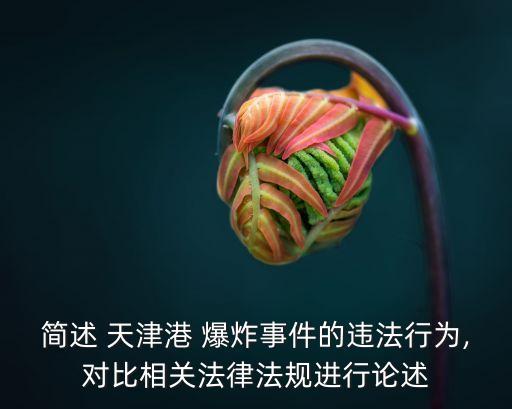 簡述 天津港 爆炸事件的違法行為,對比相關(guān)法律法規(guī)進行論述
