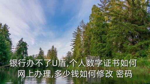 網(wǎng)上重置u盾密碼是多少錢,u盾密碼可以網(wǎng)上重置嗎