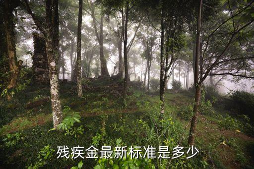 工商銀行殘疾幾個(gè)月多少錢