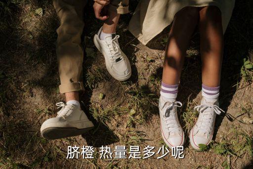 一個(gè)橙子多少熱量,100g橙子有多少熱量