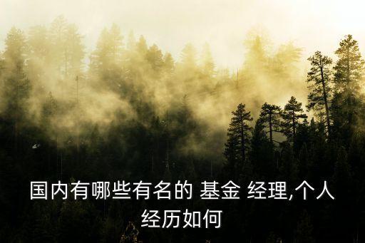 國內(nèi)有哪些有名的 基金 經(jīng)理,個人經(jīng)歷如何