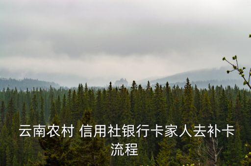  云南農(nóng)村 信用社銀行卡家人去補(bǔ)卡流程