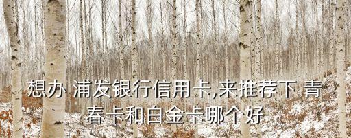 浦發(fā)青春卡普卡額度多少