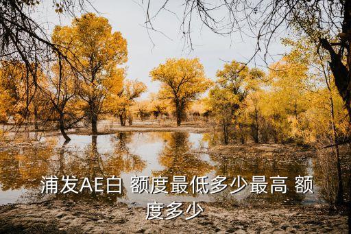  浦發(fā)AE白 額度最低多少最高 額度多少
