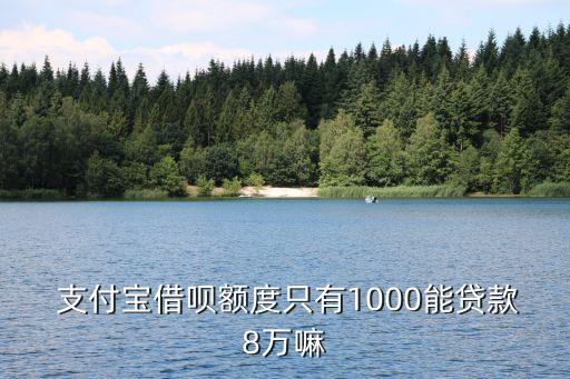 支付寶可以借貸多少錢,急用錢哪個平臺好借一點