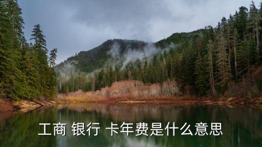 工行銀行儲蓄卡年費(fèi)多少錢,工行儲蓄卡幾年沒用了,有年費(fèi)嗎