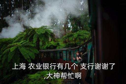 上海農(nóng)業(yè)銀行中山支行電話是多少,中山小欖農(nóng)業(yè)銀行支行詳細(xì)地址
