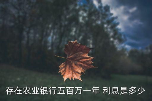 農(nóng)行500萬年利息多少錢,農(nóng)行貸款100萬年利息是多少