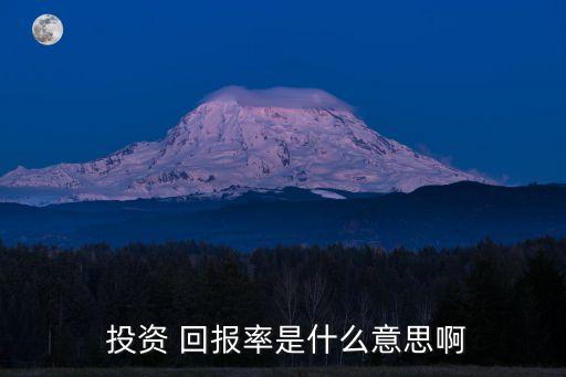  投資 回報(bào)率是什么意思啊