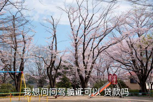用駕照貸款能貸多少,有駕照就可以貸款的網(wǎng)貸