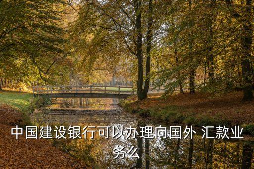 建行網(wǎng)銀國際匯款手續(xù)費多少錢,建行企業(yè)網(wǎng)銀匯款手續(xù)費