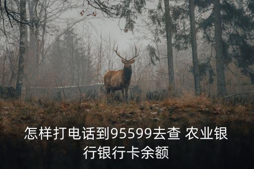 南馬農(nóng)業(yè)銀行電話號碼是多少錢,青島市南農(nóng)業(yè)銀行電話號碼