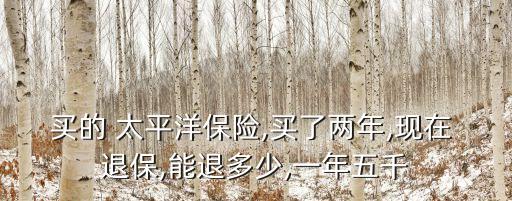 買的 太平洋保險(xiǎn),買了兩年,現(xiàn)在 退保,能退多少,一年五千