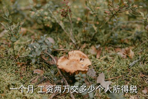 一個(gè)月 工資兩萬(wàn)交多少個(gè)人所得稅