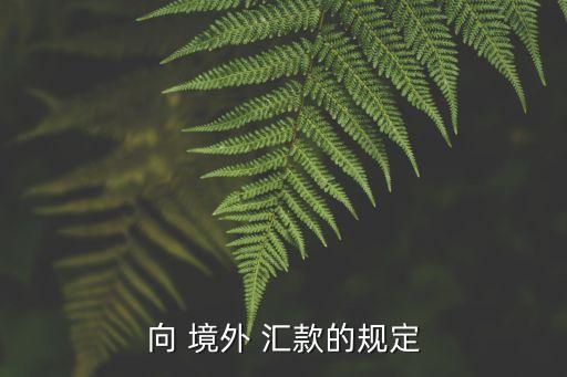 向 境外 匯款的規(guī)定