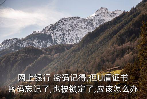  網(wǎng)上銀行 密碼記得,但U盾證書 密碼忘記了,也被鎖定了,應(yīng)該怎么辦