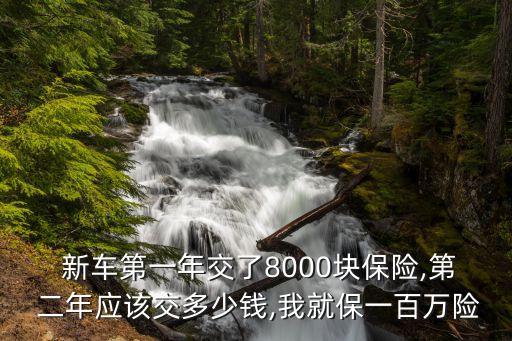  新車第一年交了8000塊保險(xiǎn),第 二年應(yīng)該交多少錢,我就保一百萬(wàn)險(xiǎn)