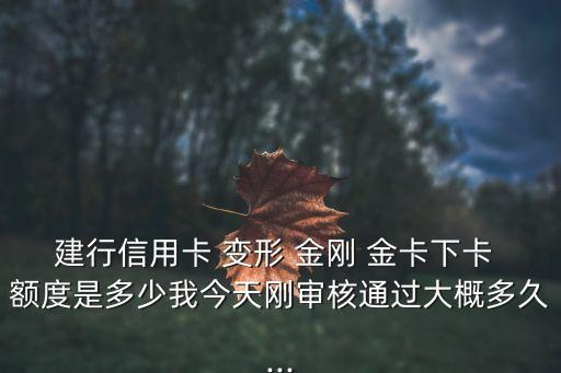 建行信用卡 變形 金剛 金卡下卡 額度是多少我今天剛審核通過大概多久...