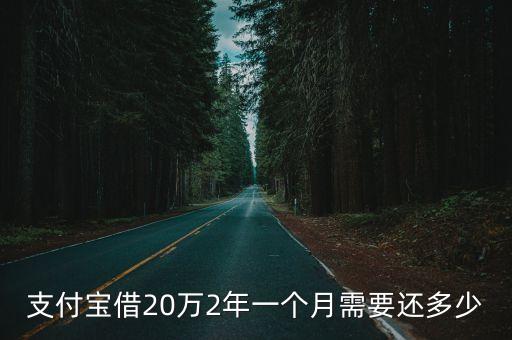 支付寶借20萬2年一個(gè)月需要還多少