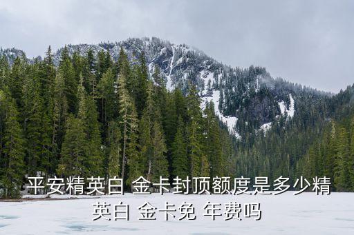 平安銀行儲蓄卡白金卡年費多少