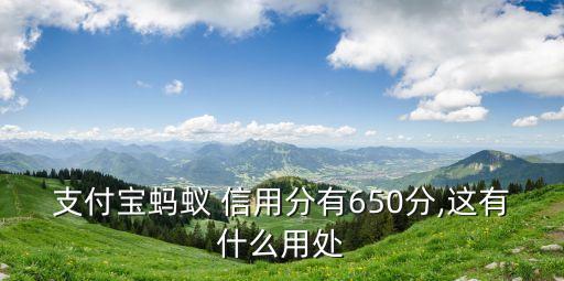 馬云芝麻信用多少,芝麻信用800以上有多少人