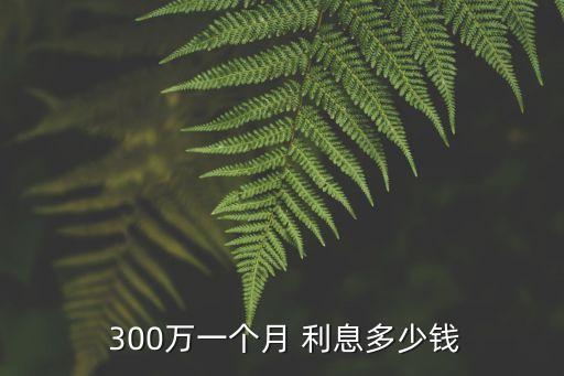  300萬一個月 利息多少錢