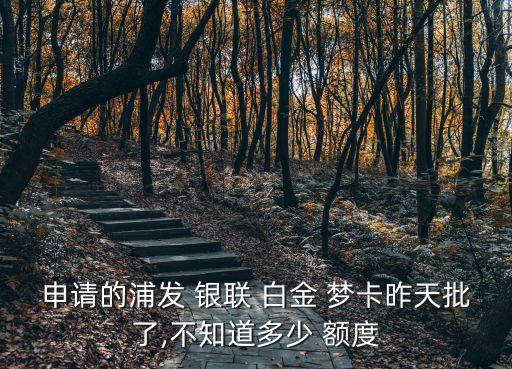 銀聯(lián)夢卡白金取現(xiàn)額度是多少