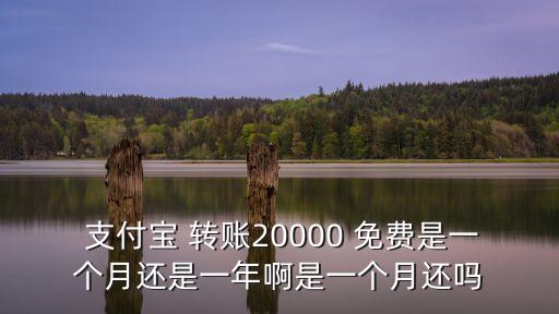 支付寶轉(zhuǎn)賬免費(fèi)額度是多少時(shí)間