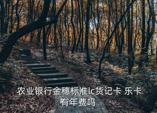 農(nóng)業(yè)銀行金穗標準lc貨記卡 樂卡有年費嗎