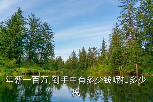 年薪一百萬,到手中有多少錢呢扣多少稅