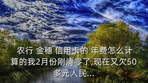  農(nóng)行 金穗 信用卡的 年費(fèi)怎么計(jì)算的我2月份剛清零了,現(xiàn)在又欠50多元人民...
