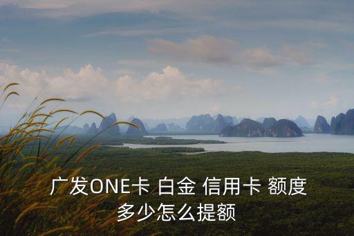  廣發(fā)ONE卡 白金 信用卡 額度多少怎么提額