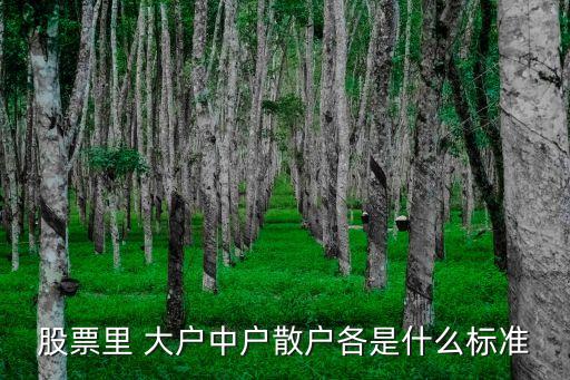 股票里 大戶中戶散戶各是什么標準