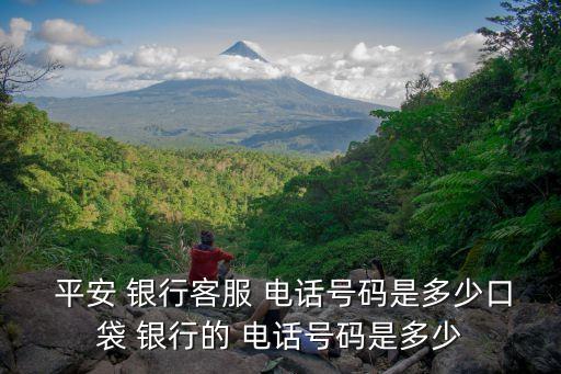  平安 銀行客服 電話號碼是多少口袋 銀行的 電話號碼是多少