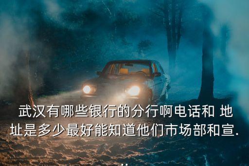  武漢有哪些銀行的分行啊電話和 地址是多少最好能知道他們市場(chǎng)部和宣...